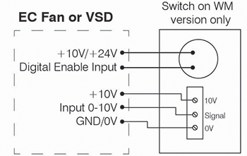 Support Image